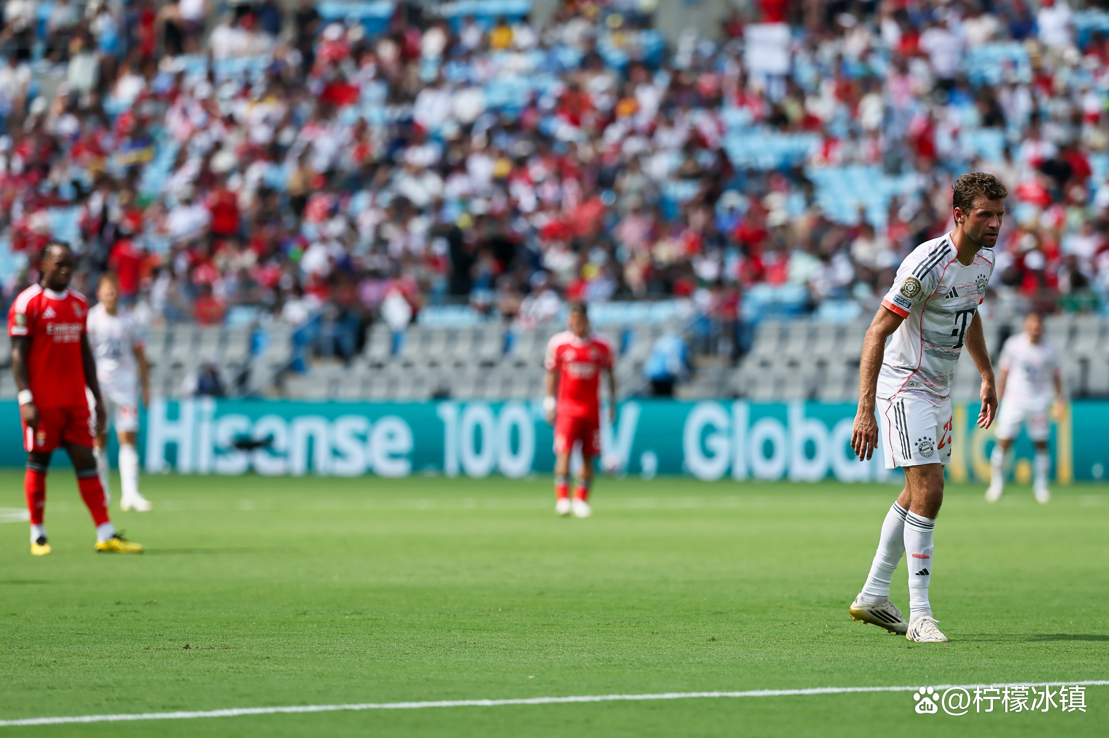 开云体育拜仁前途光明！，莎拉波娃新星险胜表现突出上演精彩一战的简单介绍